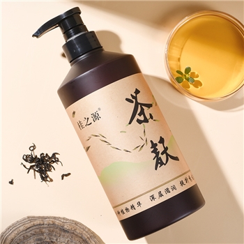 桂之源茶麸洗发水广西控油无患子固发养发蓬松温和清洁无患子洗发