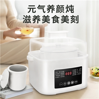 电炖锅1-2人炖盅陶瓷隔水炖家用炖锅煲汤全自动燕窝多功能电砂锅
