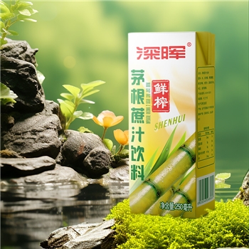 深晖茅根甘蔗汁饮料250ml*16盒礼盒